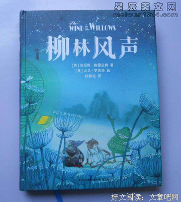 《风声》读后感锦集