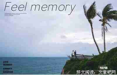 夫朋妻友(上)读后感摘抄