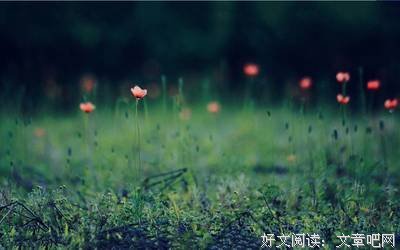 15条关于闲庭信步的经典语句