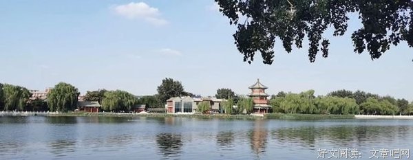 15条关于大惊小怪的经典语句