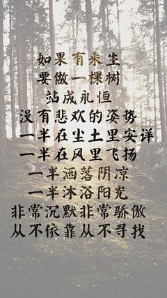 席慕容经典语录