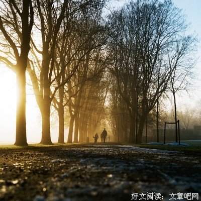 美图美句句子