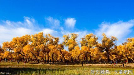 《魂不附体》观后感100字