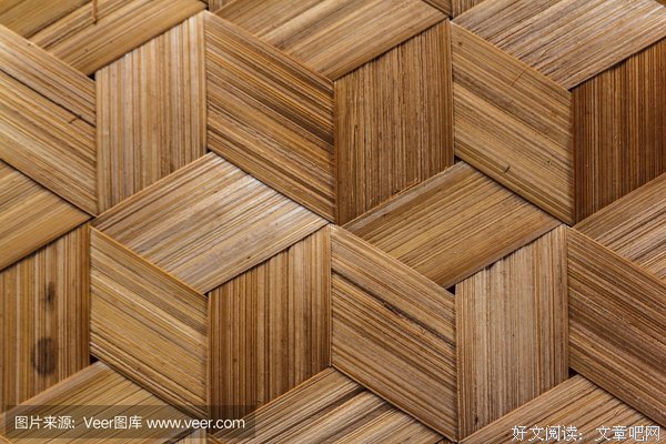 《天堂病毒》观后感摘抄