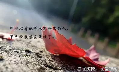 有关一对、不见的句子