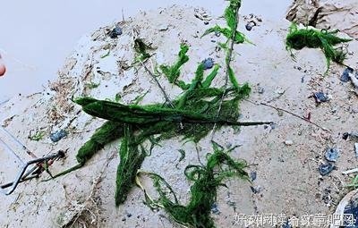 《激情意外》经典观后感有感