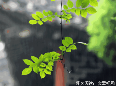 《春情夏日》经典观后感有感