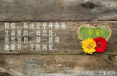伤经典的句子