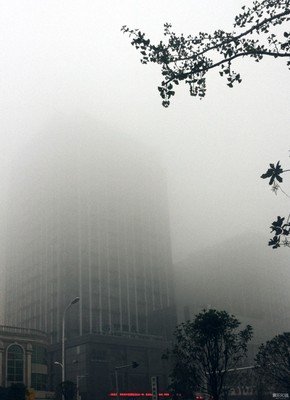 小文艺句子