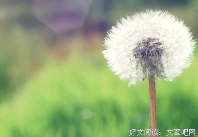 繁花学开千的优美句子