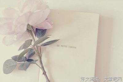 想看种用情太深的优美句子