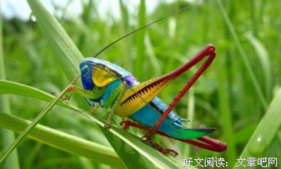 南方好词好句