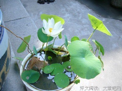 那就这样吧句子