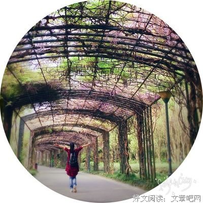  篱落诗集