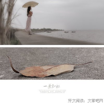 热情激荡的好句的优美句子