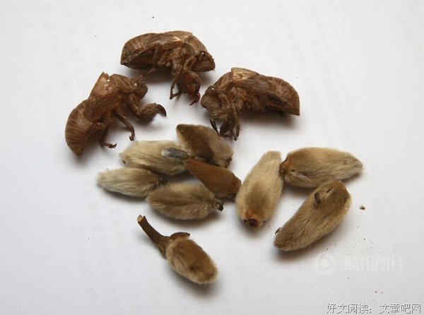 我的叹为观止、辗转心语