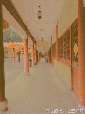 最新的《卦妃实当十把大下》经典语录