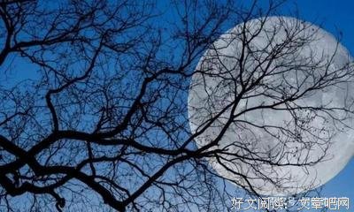 《池中物》经典句子