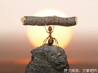 天生励志比天生丽质更可贵
