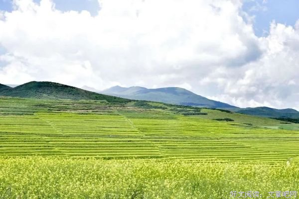 让随和成为一种习惯！