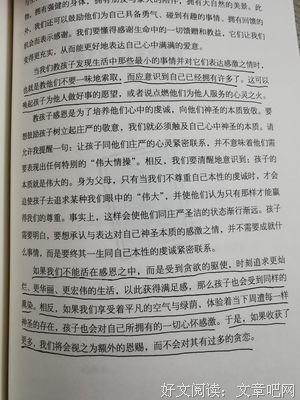 《中国觉醒》读后感锦集