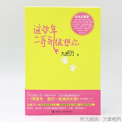 這些年二哥哥很想你读后感锦集