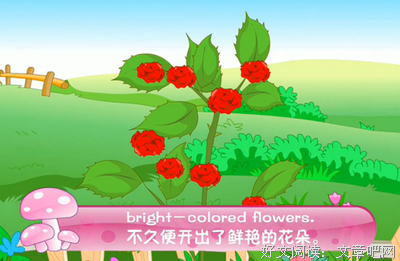 《蜗牛》经典读后感有感