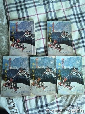 冰川天女傳读后感锦集