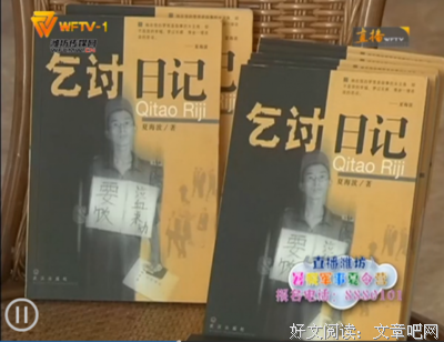 《《乞讨日记》》经典读后感有感