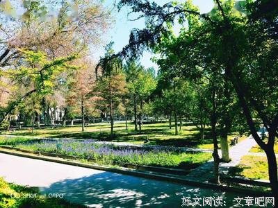 《年年有余 周周复月样》的句子