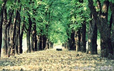 LOVE经典的句子