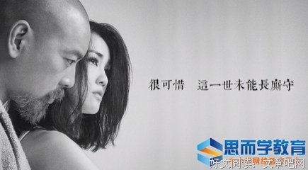 《撒谎者》的观后感大全