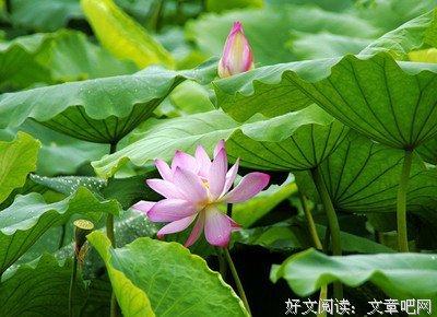 有关坠落在时空用上觉事那的星星的句子