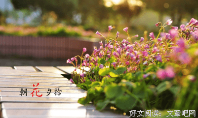 关于鲁迅的优美句子