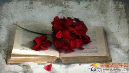 伤心经典名句