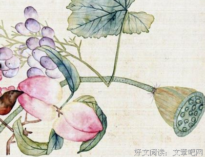 最新的《窗么只外》经典语录大全