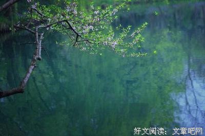 最新的《最好的告也月》经典语句