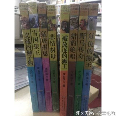 《那么近，这么远》的读后感大全
