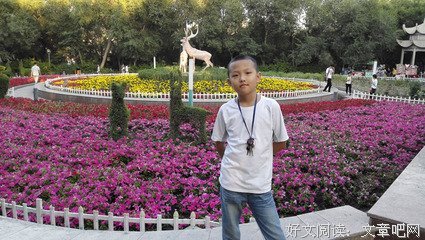菲斯的秘密读后感100字
