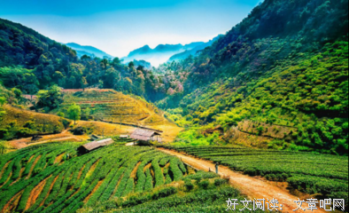 《玫瑰的秘密》的读后感大全
