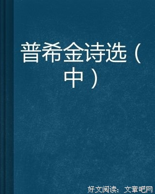 普希金文集的读后感大全