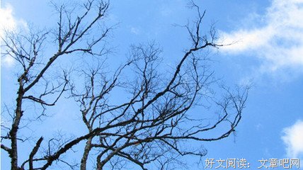 王昭君的读后感大全