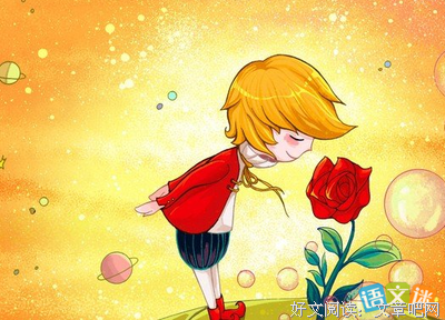《小王子 堡垒》读后感100字