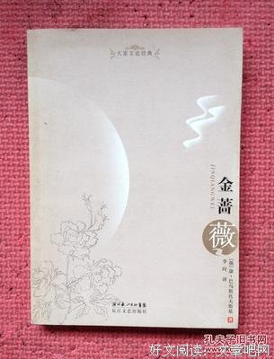 《金蔷薇》读后感100字