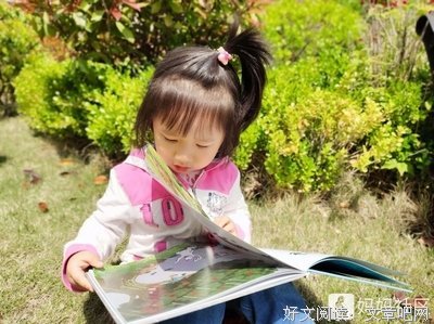 《如意菩提》读后感锦集