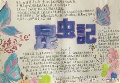 《哲学的思与惑》读后感1000字