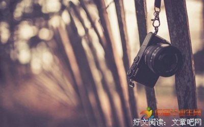 关于不顾一切的语句