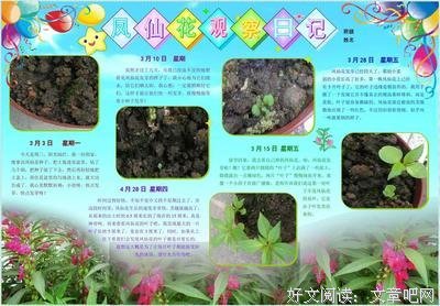 我们过得还行读后感精选