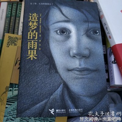 造梦的雨果读后感1000字