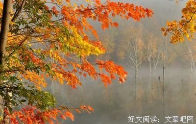 狼狈的语句摘抄_关于狼狈的语句